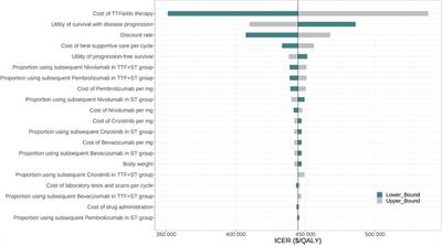 Cost-effectiveness of tumor-treating fields plus standard therapy for advanced non-small cell lung cancer progressed after platinum-based therapy in the United States